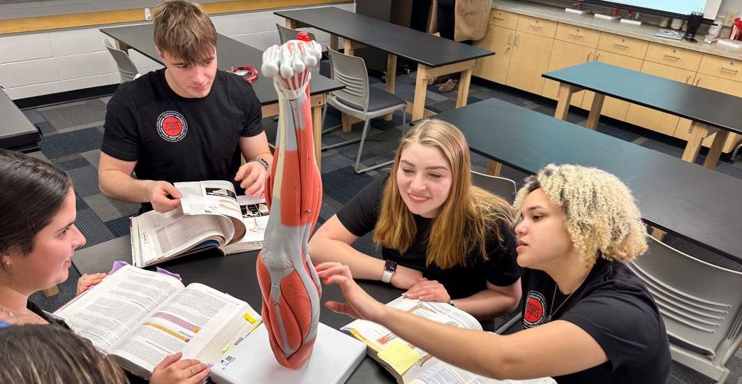 Allied health student majors working in a 博彩网址大全 classroom.